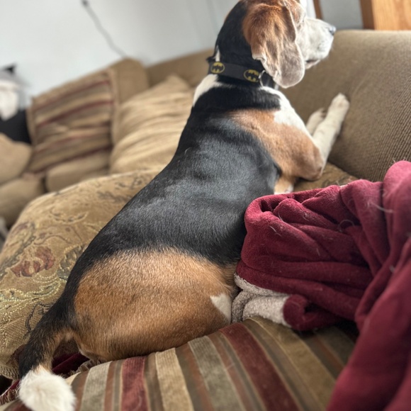 Meet your Posher, Christine - Picture 6 of 6